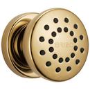 Single Function Body Spray in Polished Gold