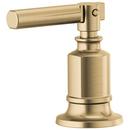 Two Handle Lever Handle Kit in Brilliance® Luxe Gold®