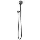 Brizo Luxe Steel Multi Function Hand Shower 