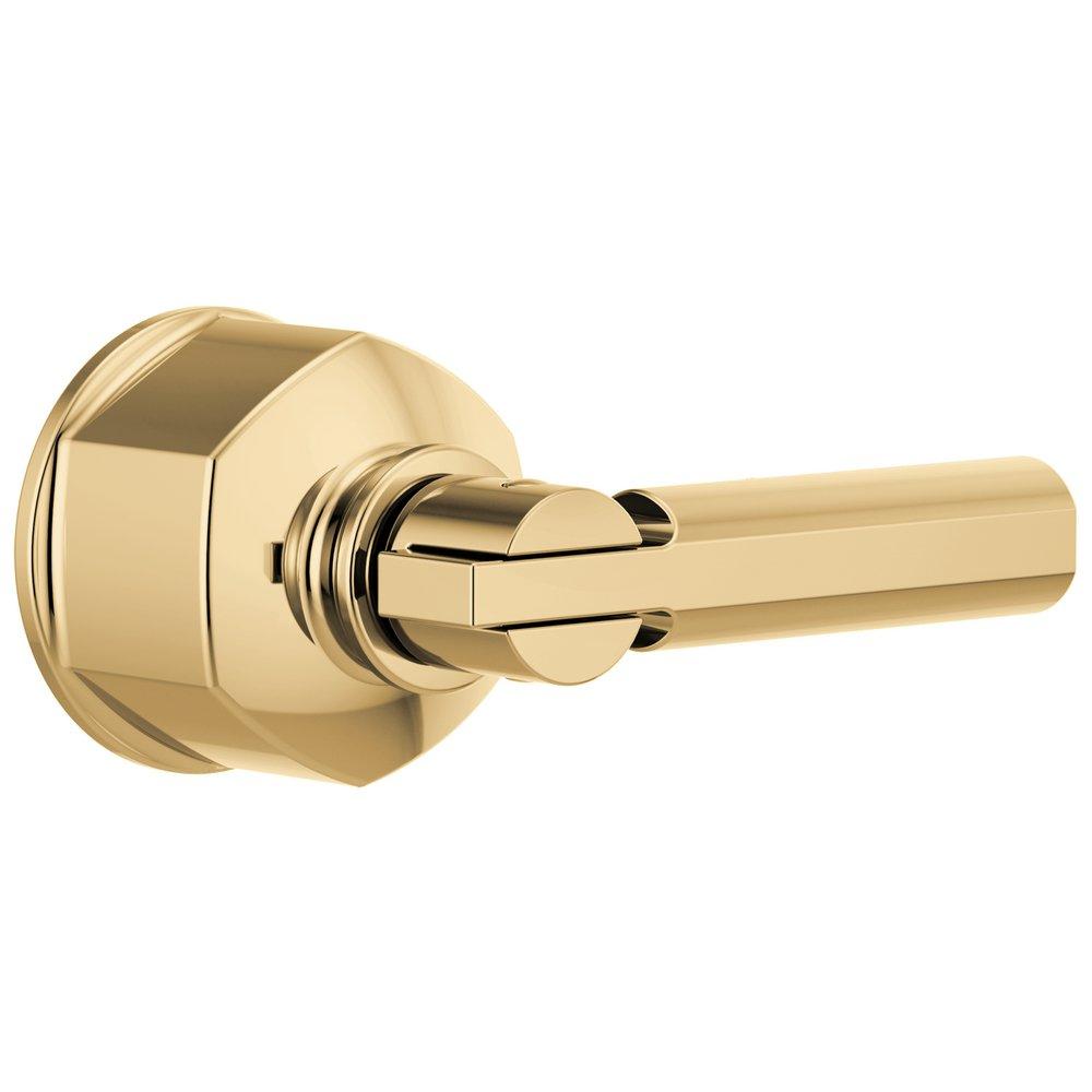Brizo Polished Gold 4-3/8 in. Zinc Handle Kit 