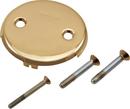 Overflow Plate and Screw in Polished Gold