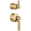 Brizo Polished Gold 2-1/4 in. Zinc Handle Kit 