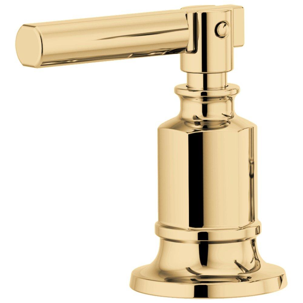 Brizo Polished Gold Handle Kit 