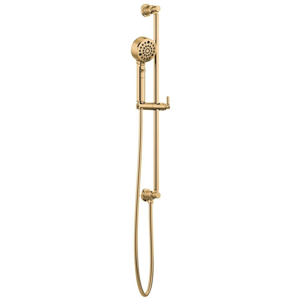 Brizo Polished Gold Multi Function Hand Shower 