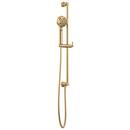 Brizo Polished Gold Multi Function Hand Shower 