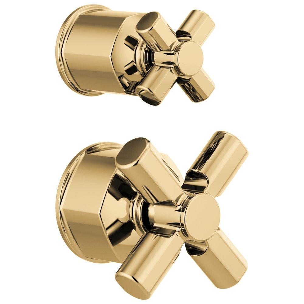 Brizo Polished Gold 3-1/2 in. Zinc Handle Kit 