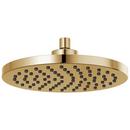 Single Function Showerhead in Polished Gold
