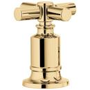 Two Handle Cross Handle Kit in Brilliance® Polished Gold
