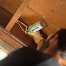 DAP Off White Quick Cure 1 Component Spray Foam Sealant 