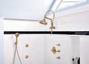 Slide Bar Shower Arm and Flange in Luxe Gold 