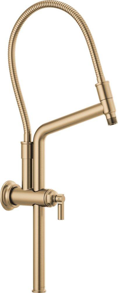 Slide Bar Shower Arm and Flange in Luxe Gold 