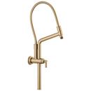 Slide Bar Shower Arm and Flange in Luxe Gold
