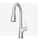 Pfister Stainless Steel Single Handle Pull Down Kitchen Faucet 