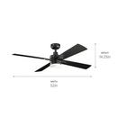 CCN 52 INCH PROMO FAN 