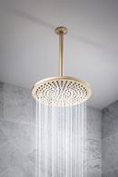 Brizo Luxe Gold 1/2 x 2-3/8 x 14 in. NPT Solid Brass Shower Arm and Flange 