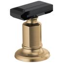 Two Handle Brass Knob Handle Kit in Brilliance® Luxe Gold®/Black Crystal