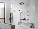 Brizo Luxe Steel Multi Function Hand Shower 