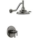 Two Handle Multi Function Shower Faucet in Luxe Steel (Trim Only)