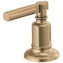 Two Handle Brass Lever Handle Kit in Brilliance® Luxe Gold®
