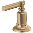 Brizo Luxe Gold 2-19/100 in. Brass Handle Kit 