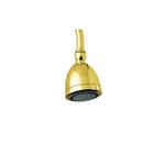 Multi Function Showerhead in English Gold