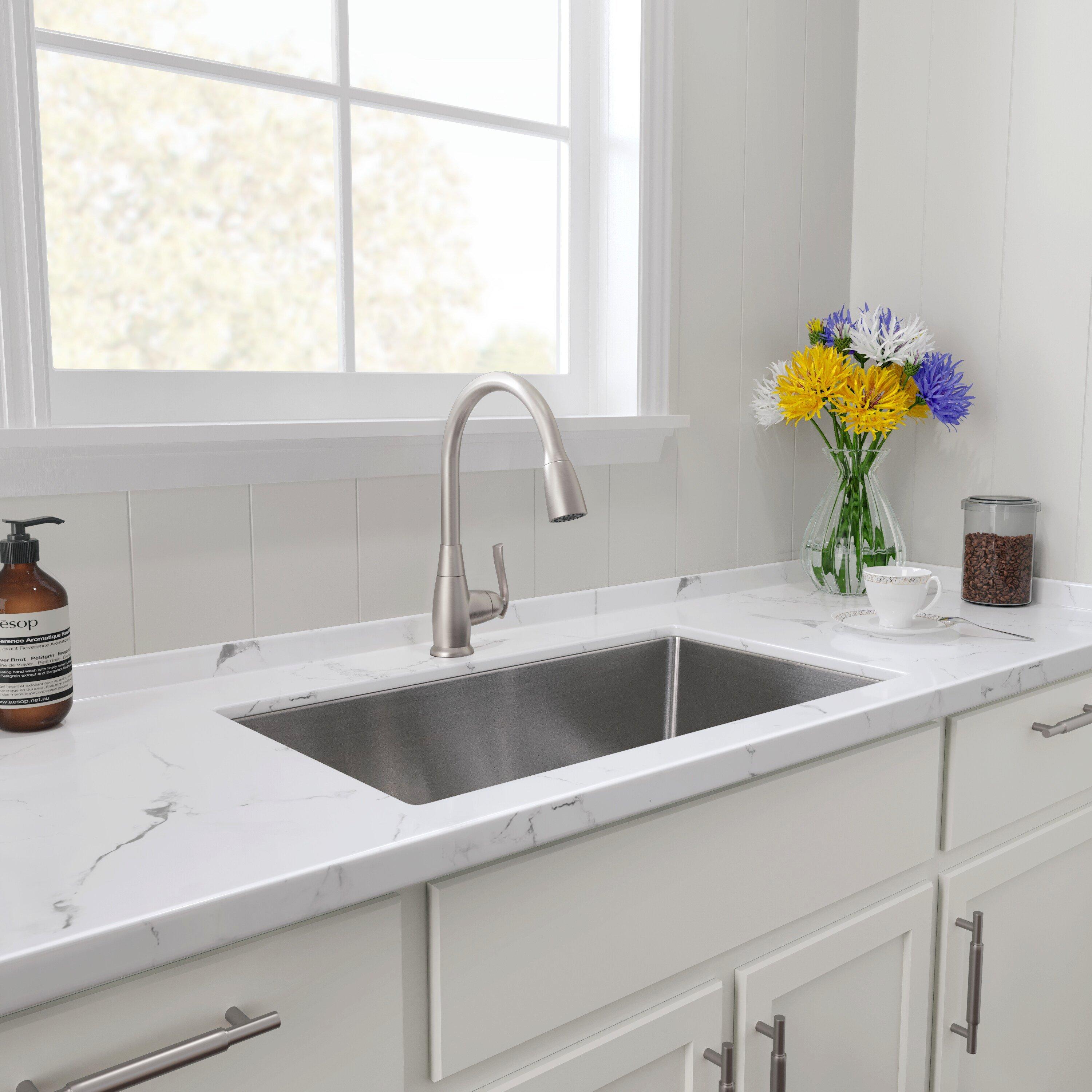 PROFLO&reg; Stainless Steel 31 x 18 in. Single Bowl Undermount Kitchen Sink 