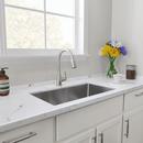 PROFLO&reg; Stainless Steel 31 x 18 in. Single Bowl Undermount Kitchen Sink 