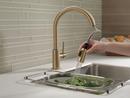 Delta Faucet Champagne Bronze Single Handle Pull Down Kitchen Faucet 
