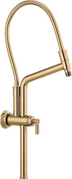 Shower Rail in Polished Gold