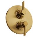 Two Handle Thermostatic Valve Trim in Brushed Gold