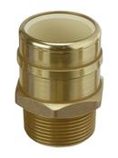 Sioux Chief 2-1/2 in. Socket Weld x MIPT 180F Brass Adapter 