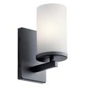 100W 1-Light 9-1/4 in. Wall Sconce in Black