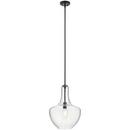 100W 1-Light Medium E-26 Incandescent Pendant Light in Black