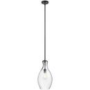 100W 1-Light Medium E-26 Incandescent Pendant Light in Black