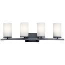 100W 4-Light Medium E-26 Vanity Fixture in Black