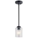 75W 1-Light Medium E-26 Incandescent Pendant Light in Black