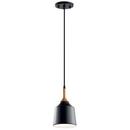 100W 1-Light Medium E-26 Pendant Light in Black