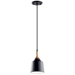 100W 1-Light Medium E-26 Pendant Light in Black