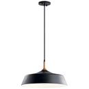 100W 1-Light Medium E-26 Incandescent Pendant Light in Black