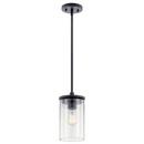 100W 1-Light Medium E-26 Incandescent Pendant Light in Black