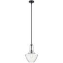 100W 1-Light Medium E-26 Incandescent Pendant Light in Black