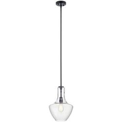 100W 1-Light Medium E-26 Incandescent Pendant Light in Black