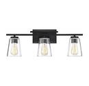 60W 3-Light Medium E-26 Vanity Fixture in Black