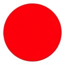 Diablo Tools 6 in. Random Orbital Sanding Disc (Pack of 5) 