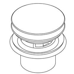 Drain Assembly