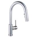 Speakman Stainless Steel Pull Down Single Handle Kitchen Faucet 