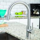 Speakman Stainless Steel Pull Down Single Handle Kitchen Faucet 