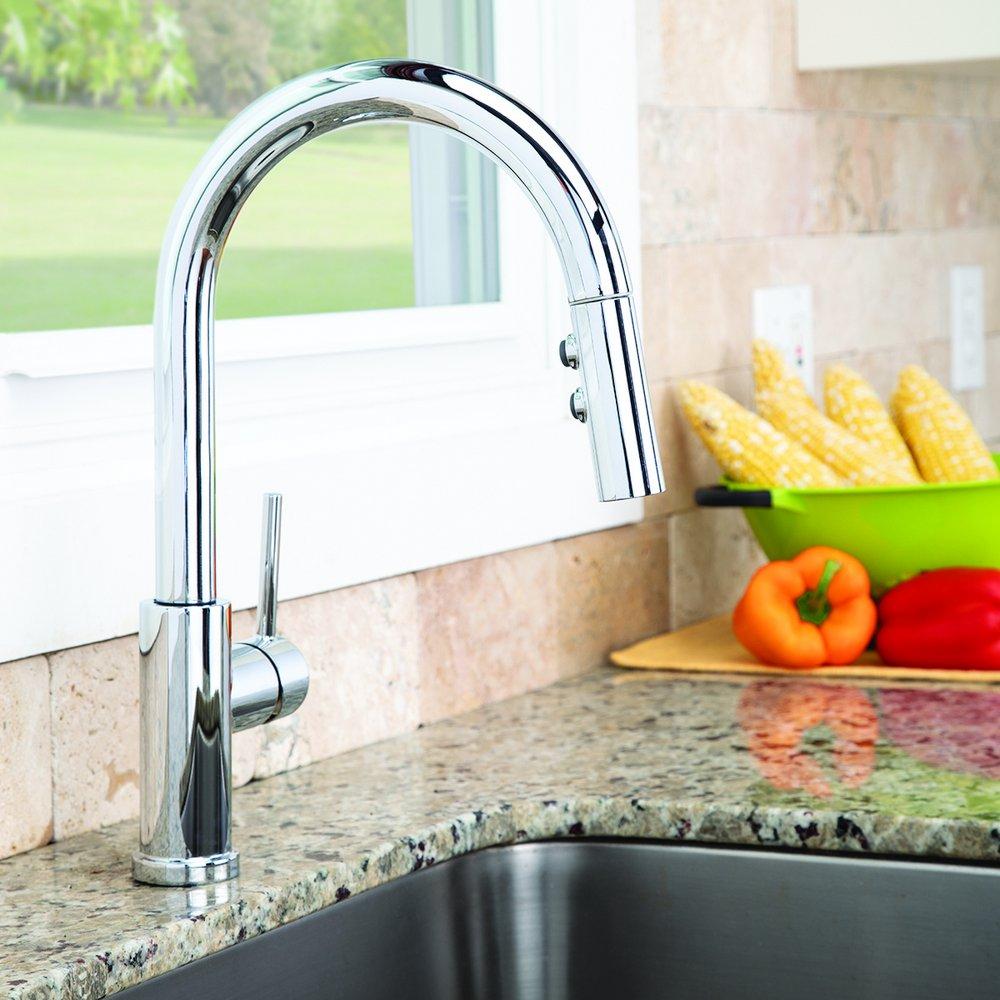 Speakman Polished Chrome Pull Down Single Handle Kitchen Faucet 