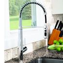 Speakman Polished Chrome Pull Down Single Handle Kitchen Faucet 