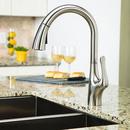 Speakman Stainless Steel Pull Down Single Handle Kitchen Faucet 